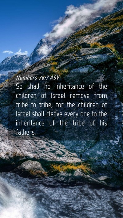 Picture 04 - Numbers 36:7 ASV Mobile Phone Wallpaper - So shall no inheritance of the children of Israel - Mobile Bible Verse Wallpaper