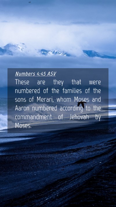 Picture 04 - Numbers 4:45 ASV Mobile Phone Wallpaper - These are they that were numbered of the families - Mobile Bible Verse Wallpaper