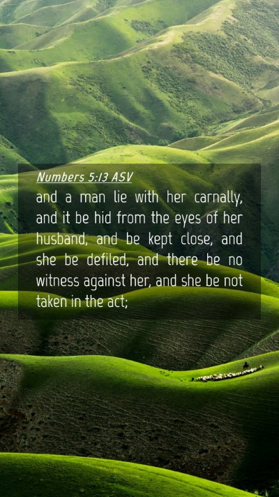 Picture 04 - Numbers 5:13 ASV Mobile Phone Wallpaper - and a man lie with her carnally, and it be hid - Mobile Bible Verse Wallpaper