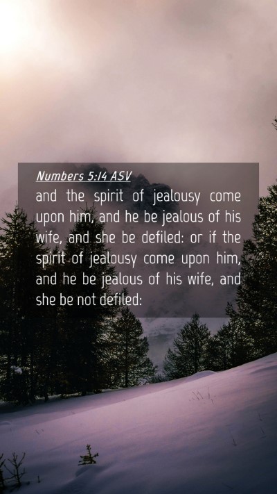 Picture 04 - Numbers 5:14 ASV Mobile Phone Wallpaper - and the spirit of jealousy come upon him, and he - Mobile Bible Verse Wallpaper