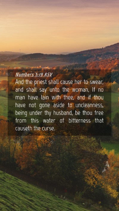 Picture 04 - Numbers 5:19 ASV Mobile Phone Wallpaper - And the priest shall cause her to swear, and - Mobile Bible Verse Wallpaper