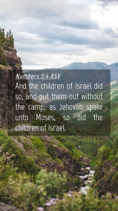 Picture 04 - Numbers 5:4 ASV Mobile Phone Wallpaper - And the children of Israel did so, and put them - Mobile Bible Verse Wallpaper