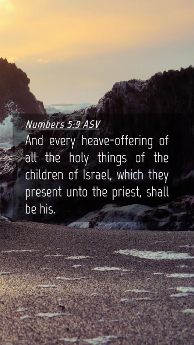 Picture 04 - Numbers 5:9 ASV Mobile Phone Wallpaper - And every heave-offering of all the holy things - Mobile Bible Verse Wallpaper
