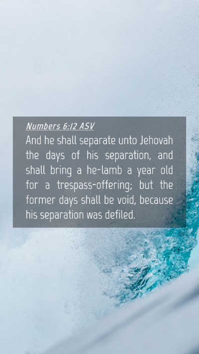 Picture 04 - Numbers 6:12 ASV Mobile Phone Wallpaper - And he shall separate unto Jehovah the days of - Mobile Bible Verse Wallpaper