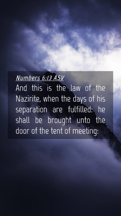 Picture 04 - Numbers 6:13 ASV Mobile Phone Wallpaper - And this is the law of the Nazirite, when the - Mobile Bible Verse Wallpaper