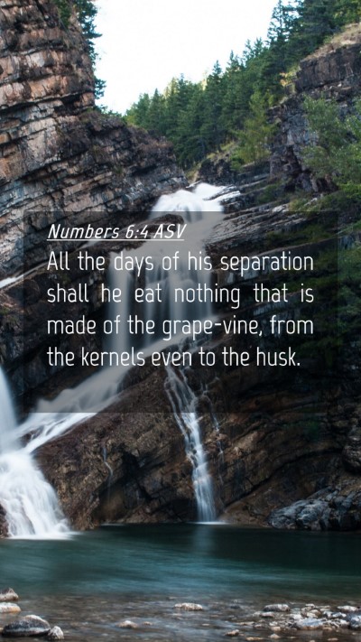 Picture 04 - Numbers 6:4 ASV Mobile Phone Wallpaper - All the days of his separation shall he eat - Mobile Bible Verse Wallpaper