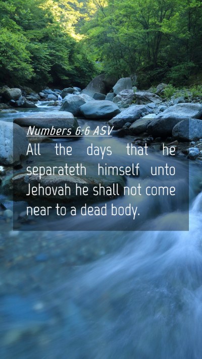 Picture 04 - Numbers 6:6 ASV Mobile Phone Wallpaper - All the days that he separateth himself unto - Mobile Bible Verse Wallpaper
