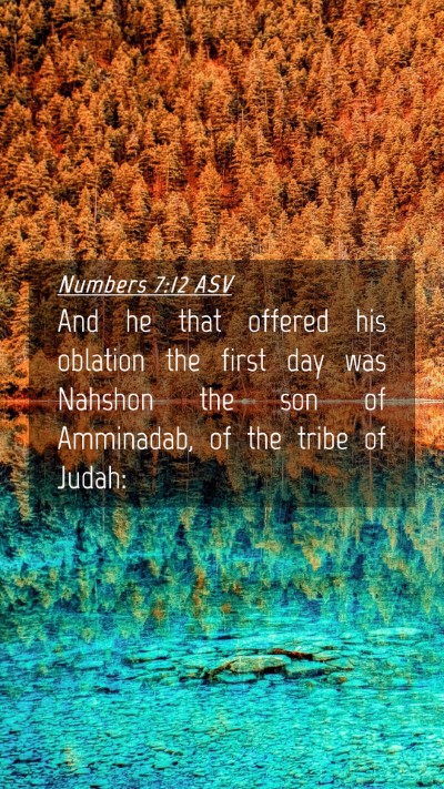 Picture 04 - Numbers 7:12 ASV Mobile Phone Wallpaper - And he that offered his oblation the first day - Mobile Bible Verse Wallpaper