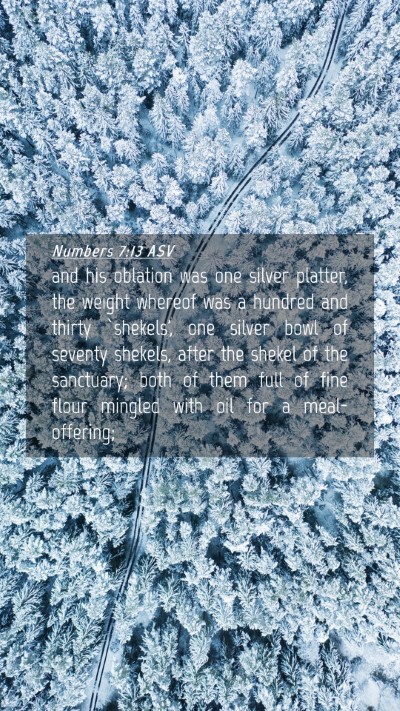 Picture 04 - Numbers 7:13 ASV Mobile Phone Wallpaper - and his oblation was one silver platter, the - Mobile Bible Verse Wallpaper