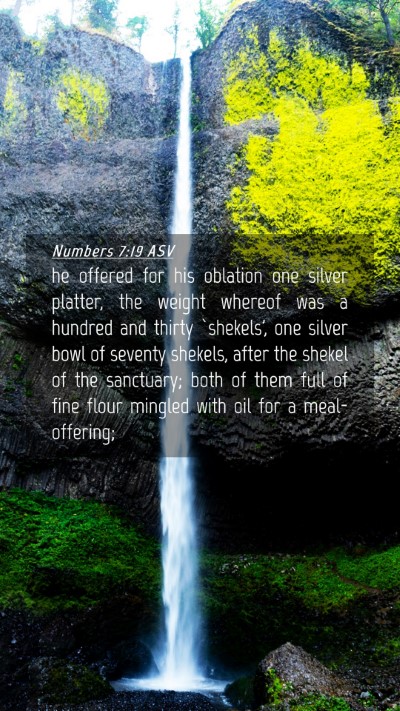 Picture 04 - Numbers 7:19 ASV Mobile Phone Wallpaper - he offered for his oblation one silver platter, - Mobile Bible Verse Wallpaper