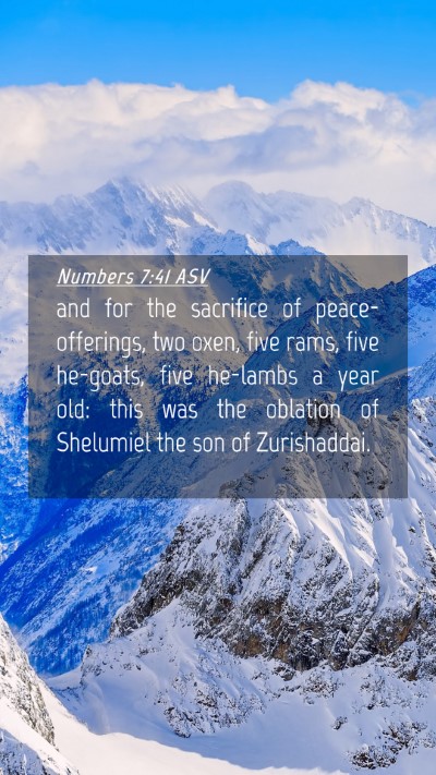 Picture 04 - Numbers 7:41 ASV Mobile Phone Wallpaper - and for the sacrifice of peace-offerings, two - Mobile Bible Verse Wallpaper