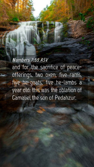 Picture 04 - Numbers 7:59 ASV Mobile Phone Wallpaper - and for the sacrifice of peace-offerings, two - Mobile Bible Verse Wallpaper