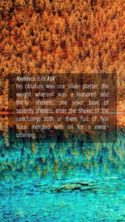 Picture 04 - Numbers 7:73 ASV Mobile Phone Wallpaper - his oblation was one silver platter, the weight - Mobile Bible Verse Wallpaper