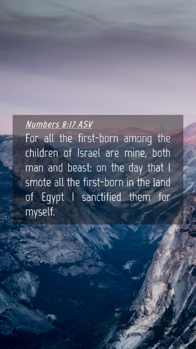 Picture 04 - Numbers 8:17 ASV Mobile Phone Wallpaper - For all the first-born among the children of - Mobile Bible Verse Wallpaper