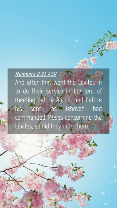 Picture 04 - Numbers 8:22 ASV Mobile Phone Wallpaper - And after that went the Levites in to do their - Mobile Bible Verse Wallpaper