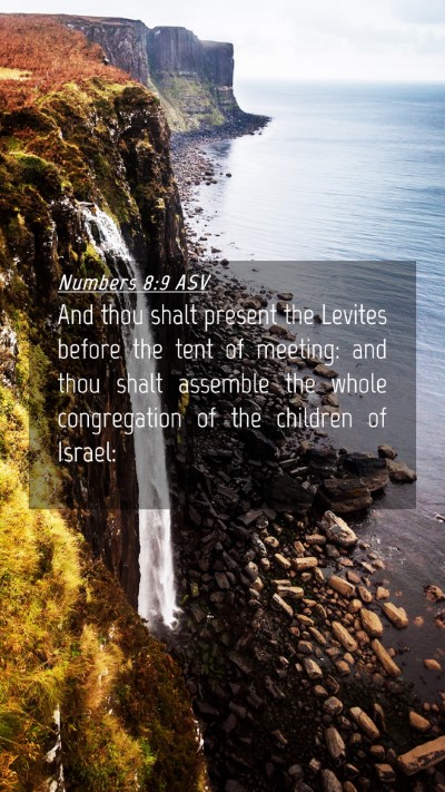 Picture 04 - Numbers 8:9 ASV Mobile Phone Wallpaper - And thou shalt present the Levites before the - Mobile Bible Verse Wallpaper