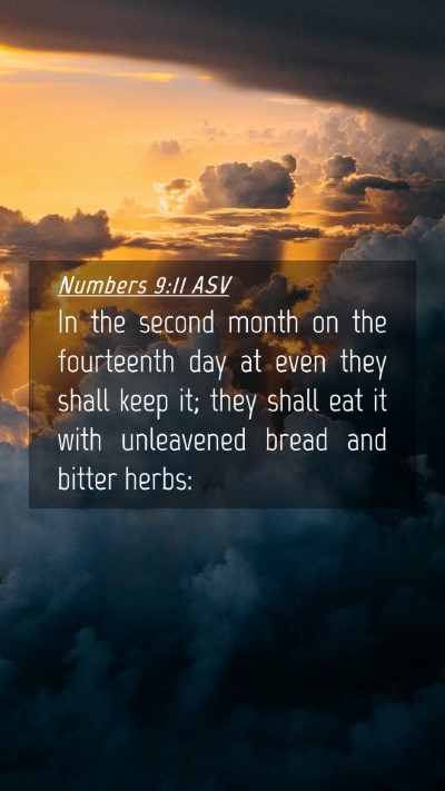 Picture 04 - Numbers 9:11 ASV Mobile Phone Wallpaper - In the second month on the fourteenth day at even - Mobile Bible Verse Wallpaper