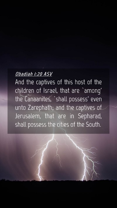 Picture 04 - Obadiah 1:20 ASV Mobile Phone Wallpaper - And the captives of this host of the children of - Mobile Bible Verse Wallpaper