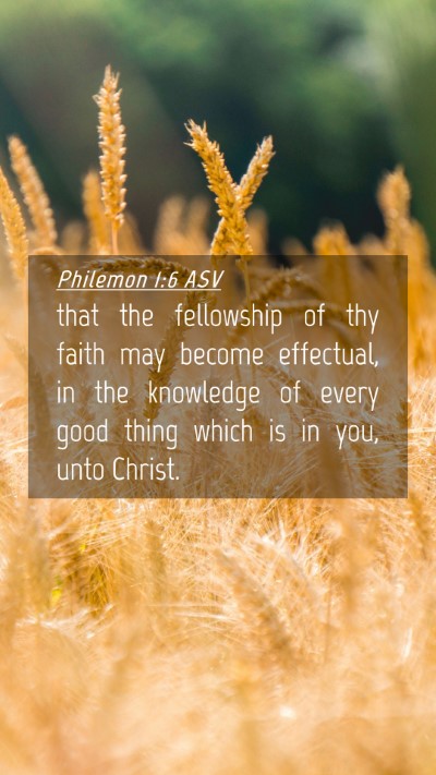 Picture 04 - Philemon 1:6 ASV Mobile Phone Wallpaper - that the fellowship of thy faith may become - Mobile Bible Verse Wallpaper