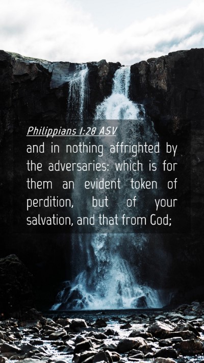 Picture 04 - Philippians 1:28 ASV Mobile Phone Wallpaper - and in nothing affrighted by the adversaries: - Mobile Bible Verse Wallpaper
