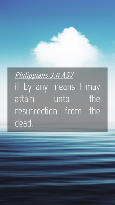 Picture 04 - Philippians 3:11 ASV Mobile Phone Wallpaper - if by any means I may attain unto the - Mobile Bible Verse Wallpaper