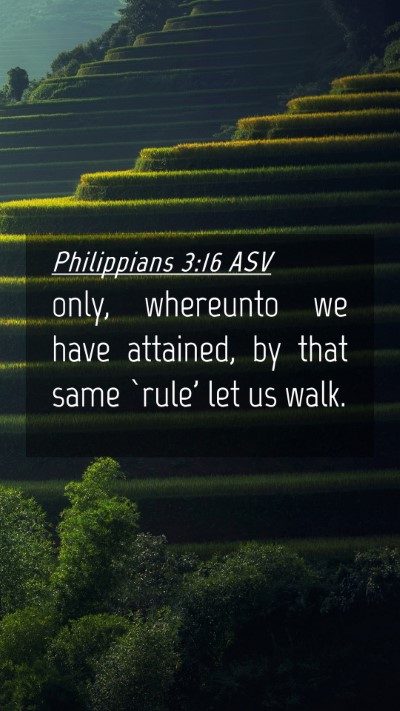 Picture 04 - Philippians 3:16 ASV Mobile Phone Wallpaper - only, whereunto we have attained, by that same - Mobile Bible Verse Wallpaper