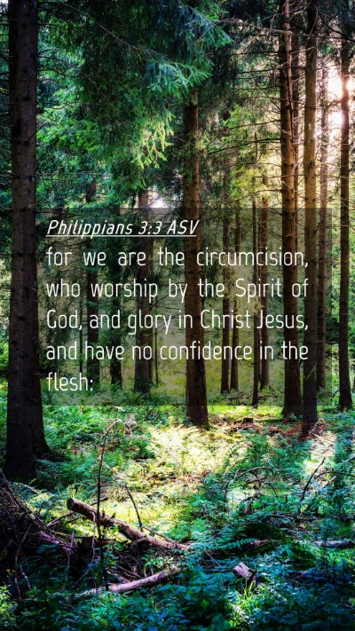 Picture 04 - Philippians 3:3 ASV Mobile Phone Wallpaper - for we are the circumcision, who worship by the - Mobile Bible Verse Wallpaper