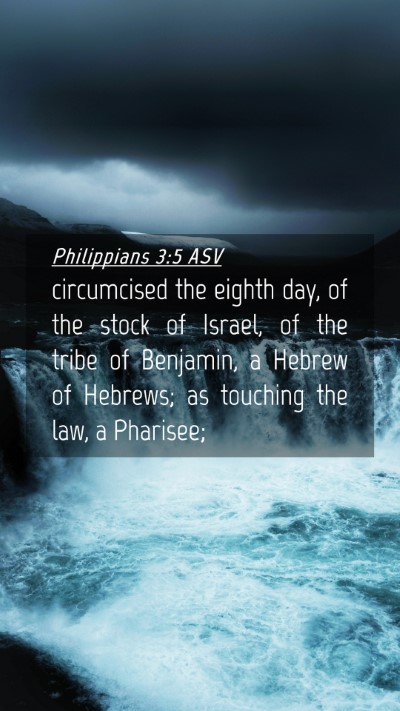 Picture 04 - Philippians 3:5 ASV Mobile Phone Wallpaper - circumcised the eighth day, of the stock of - Mobile Bible Verse Wallpaper