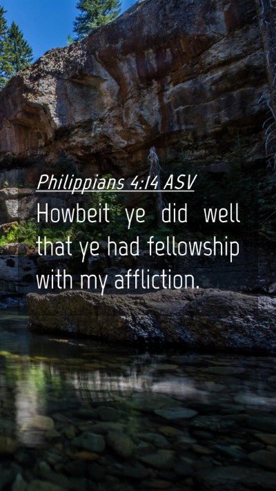 Picture 04 - Philippians 4:14 ASV Mobile Phone Wallpaper - Howbeit ye did well that ye had fellowship with - Mobile Bible Verse Wallpaper