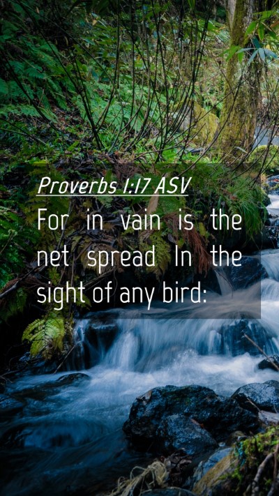 Picture 04 - Proverbs 1:17 ASV Mobile Phone Wallpaper - For in vain is the net spread In the sight of any - Mobile Bible Verse Wallpaper