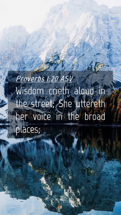Picture 04 - Proverbs 1:20 ASV Mobile Phone Wallpaper - Wisdom crieth aloud in the street; She uttereth - Mobile Bible Verse Wallpaper