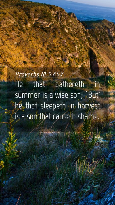 Picture 04 - Proverbs 10:5 ASV Mobile Phone Wallpaper - He that gathereth in summer is a wise son; `But' - Mobile Bible Verse Wallpaper
