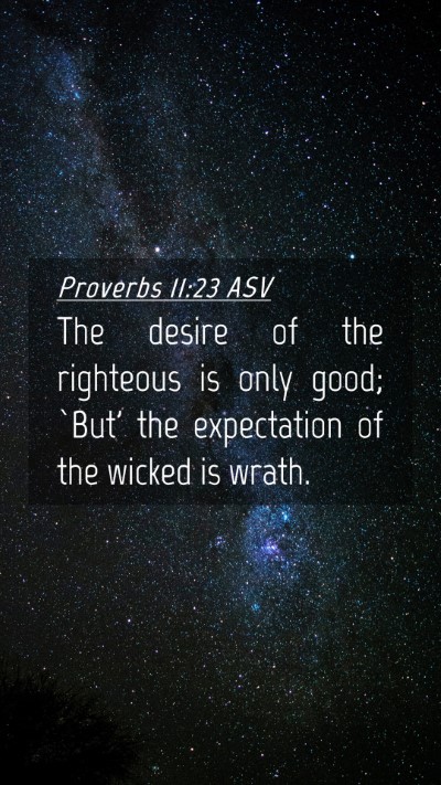 Picture 04 - Proverbs 11:23 ASV Mobile Phone Wallpaper - The desire of the righteous is only good; `But' - Mobile Bible Verse Wallpaper