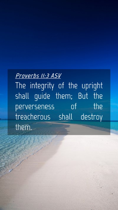 Picture 04 - Proverbs 11:3 ASV Mobile Phone Wallpaper - The integrity of the upright shall guide them; - Mobile Bible Verse Wallpaper