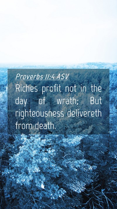 Picture 04 - Proverbs 11:4 ASV Mobile Phone Wallpaper - Riches profit not in the day of wrath; But - Mobile Bible Verse Wallpaper