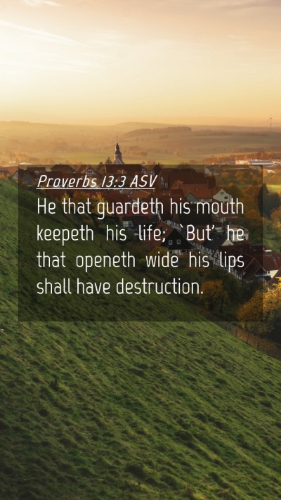 Picture 04 - Proverbs 13:3 ASV Mobile Phone Wallpaper - He that guardeth his mouth keepeth his life; - Mobile Bible Verse Wallpaper