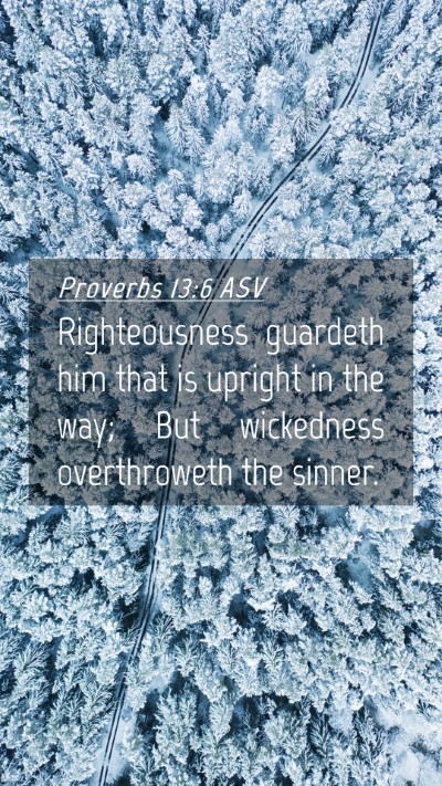 Picture 04 - Proverbs 13:6 ASV Mobile Phone Wallpaper - Righteousness guardeth him that is upright in the - Mobile Bible Verse Wallpaper