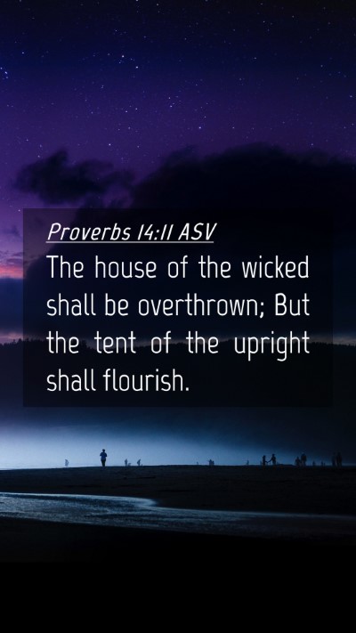 Picture 04 - Proverbs 14:11 ASV Mobile Phone Wallpaper - The house of the wicked shall be overthrown; But - Mobile Bible Verse Wallpaper