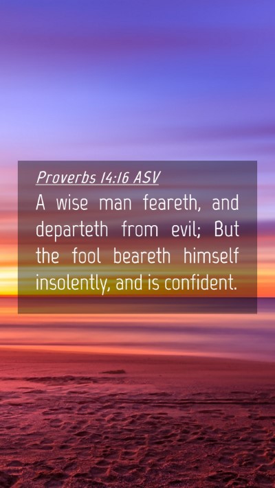 Picture 04 - Proverbs 14:16 ASV Mobile Phone Wallpaper - A wise man feareth, and departeth from evil; But - Mobile Bible Verse Wallpaper