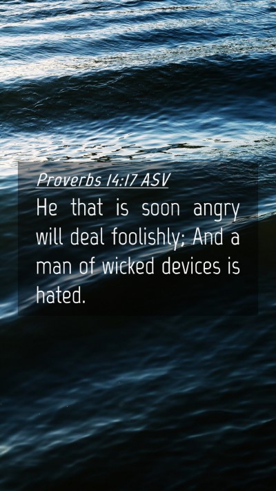 Picture 04 - Proverbs 14:17 ASV Mobile Phone Wallpaper - He that is soon angry will deal foolishly; And a - Mobile Bible Verse Wallpaper