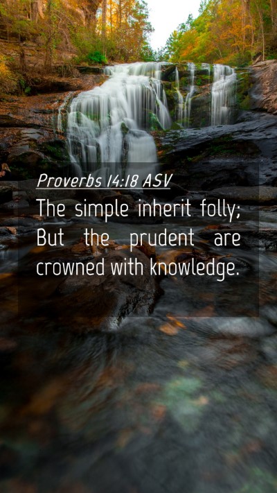 Picture 04 - Proverbs 14:18 ASV Mobile Phone Wallpaper - The simple inherit folly; But the prudent are - Mobile Bible Verse Wallpaper