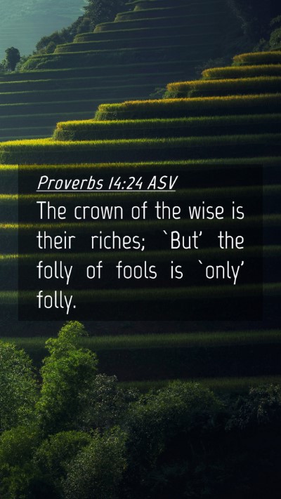 Picture 04 - Proverbs 14:24 ASV Mobile Phone Wallpaper - The crown of the wise is their riches; `But' the - Mobile Bible Verse Wallpaper
