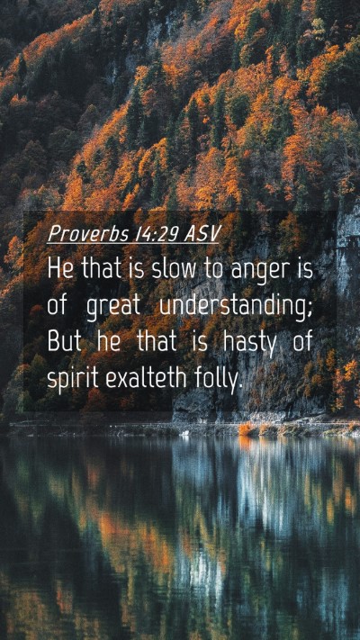 Picture 04 - Proverbs 14:29 ASV Mobile Phone Wallpaper - He that is slow to anger is of great - Mobile Bible Verse Wallpaper