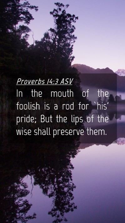 Picture 04 - Proverbs 14:3 ASV Mobile Phone Wallpaper - In the mouth of the foolish is a rod for `his' - Mobile Bible Verse Wallpaper