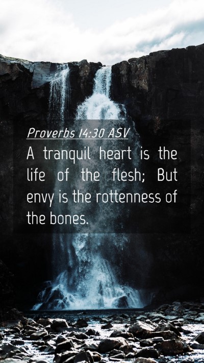 Picture 04 - Proverbs 14:30 ASV Mobile Phone Wallpaper - A tranquil heart is the life of the flesh; But - Mobile Bible Verse Wallpaper