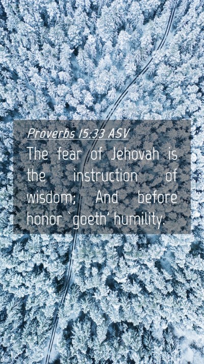 Picture 04 - Proverbs 15:33 ASV Mobile Phone Wallpaper - The fear of Jehovah is the instruction of wisdom; - Mobile Bible Verse Wallpaper