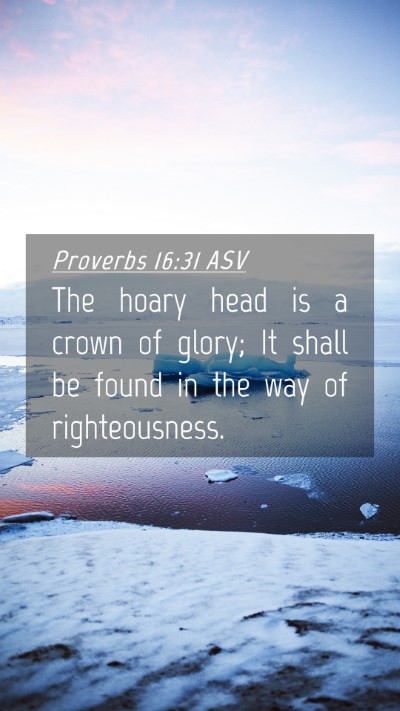 Picture 04 - Proverbs 16:31 ASV Mobile Phone Wallpaper - The hoary head is a crown of glory; It shall be - Mobile Bible Verse Wallpaper