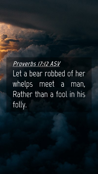 Picture 04 - Proverbs 17:12 ASV Mobile Phone Wallpaper - Let a bear robbed of her whelps meet a man, - Mobile Bible Verse Wallpaper