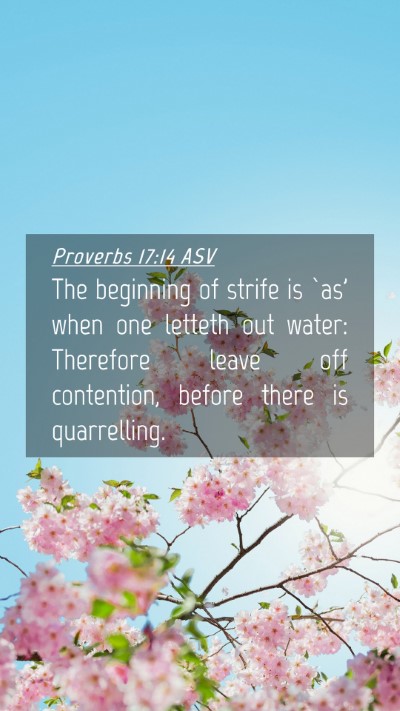 Picture 04 - Proverbs 17:14 ASV Mobile Phone Wallpaper - The beginning of strife is `as' when one letteth - Mobile Bible Verse Wallpaper