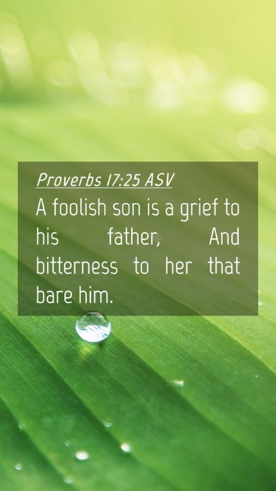 Picture 04 - Proverbs 17:25 ASV Mobile Phone Wallpaper - A foolish son is a grief to his father, And - Mobile Bible Verse Wallpaper